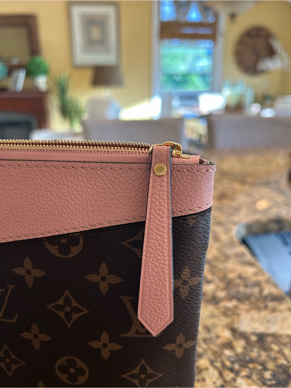 Louis Vuitton Monogram Canvas Pouch with Pink Trim - Picture 5 of 8
